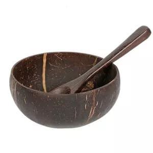 coconut bowl and spoon set